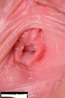 Anh sex lon con trinh